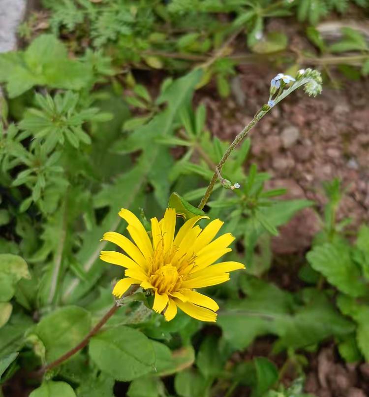 雷到了，今天回老家一趟，被雷到了！老家是郊区，却成了光棍村。一群出生在9
