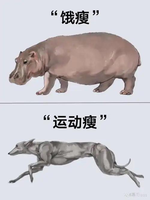 11万人看过的饿瘦与运动瘦有区别的视频，说明了运动瘦的重要性。 评论区有一种