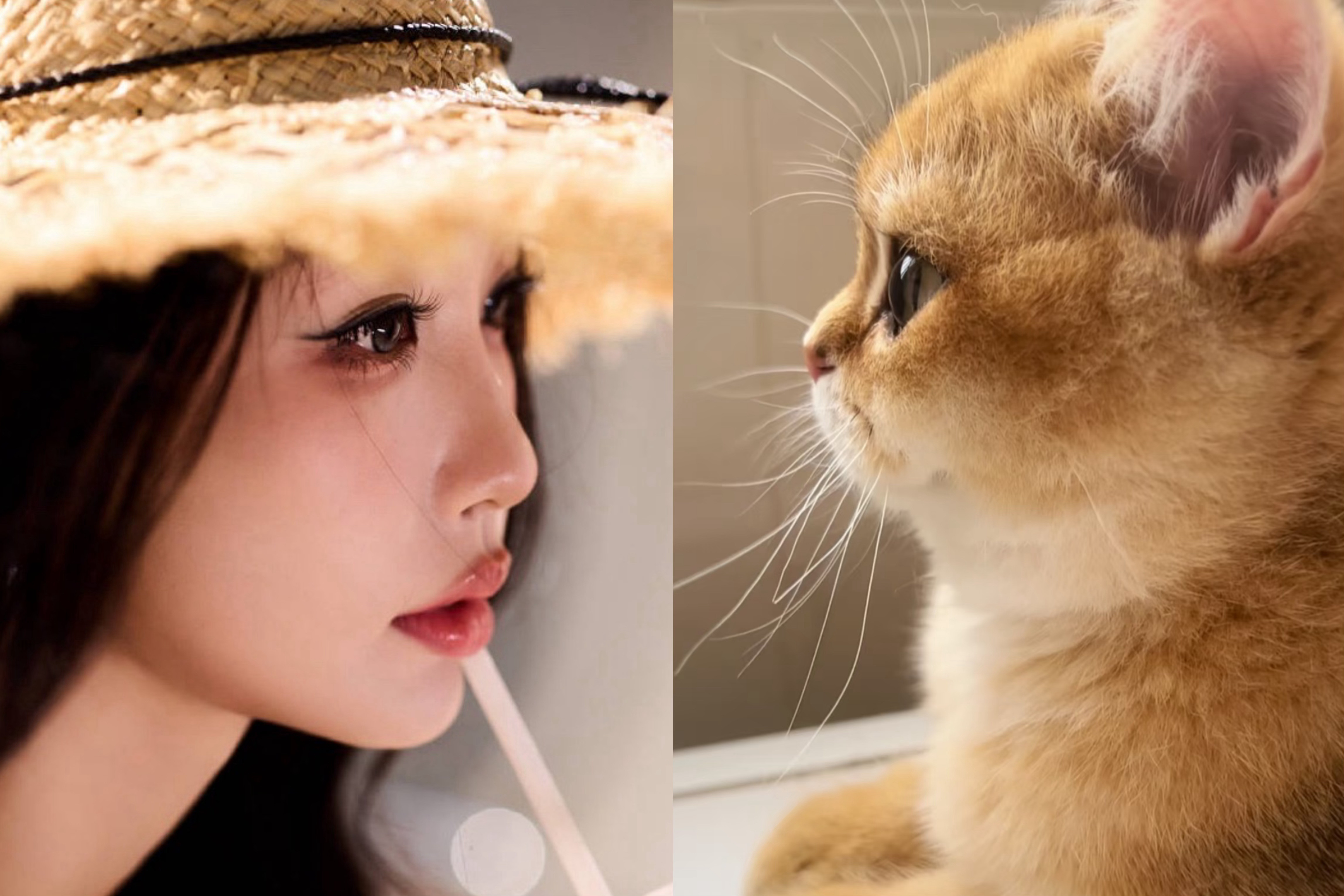 谁家的小猫咪~🐱