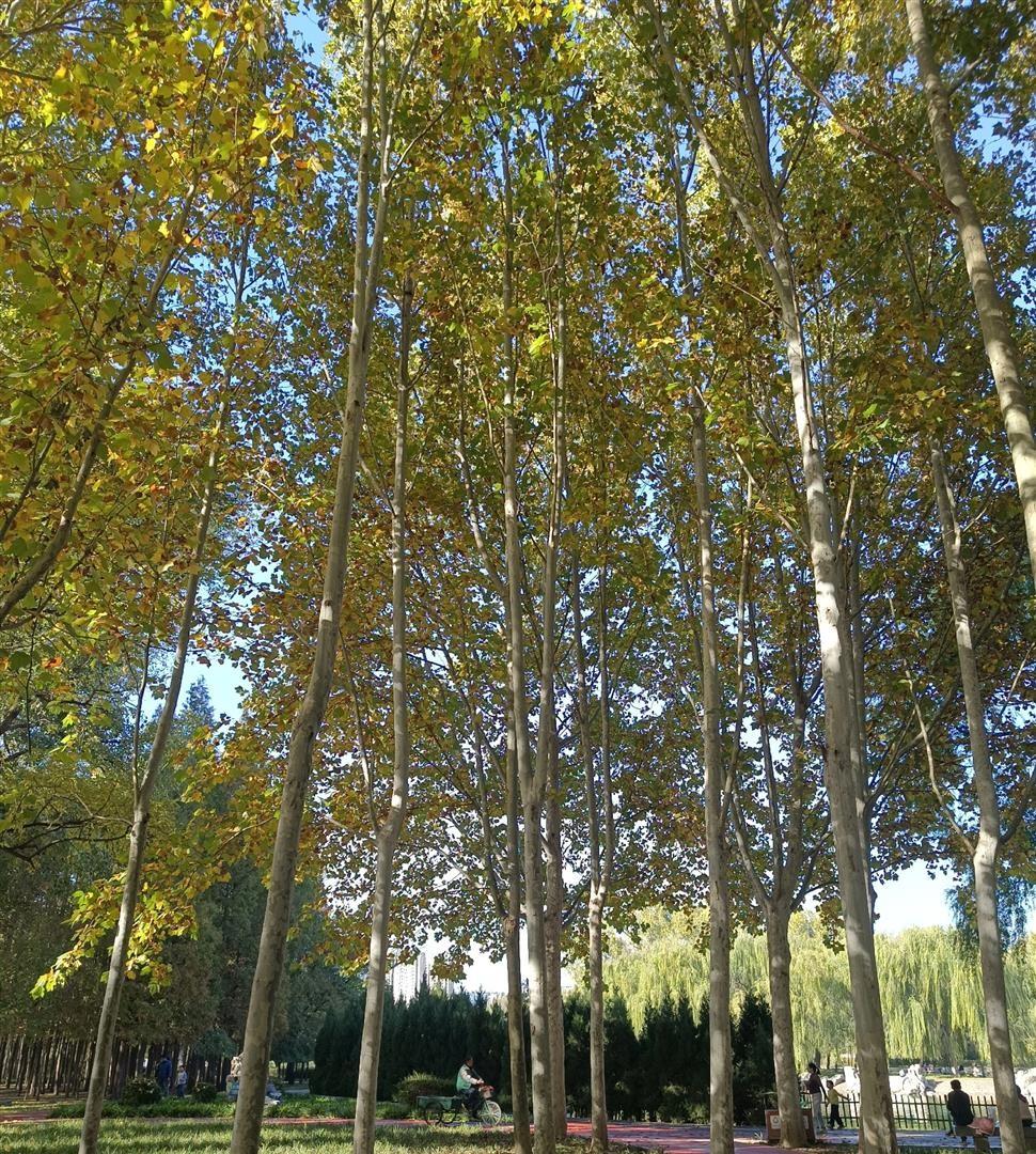 婆家聚餐和孩子上课，到底该谁让步？那年冬天公婆住我家三个月，每周六非得等小叔子