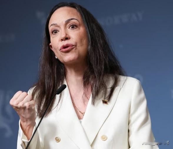 “是时候夺取政权了”：委内瑞拉反对派领袖向支持者发出呼吁委内瑞拉反对派领袖