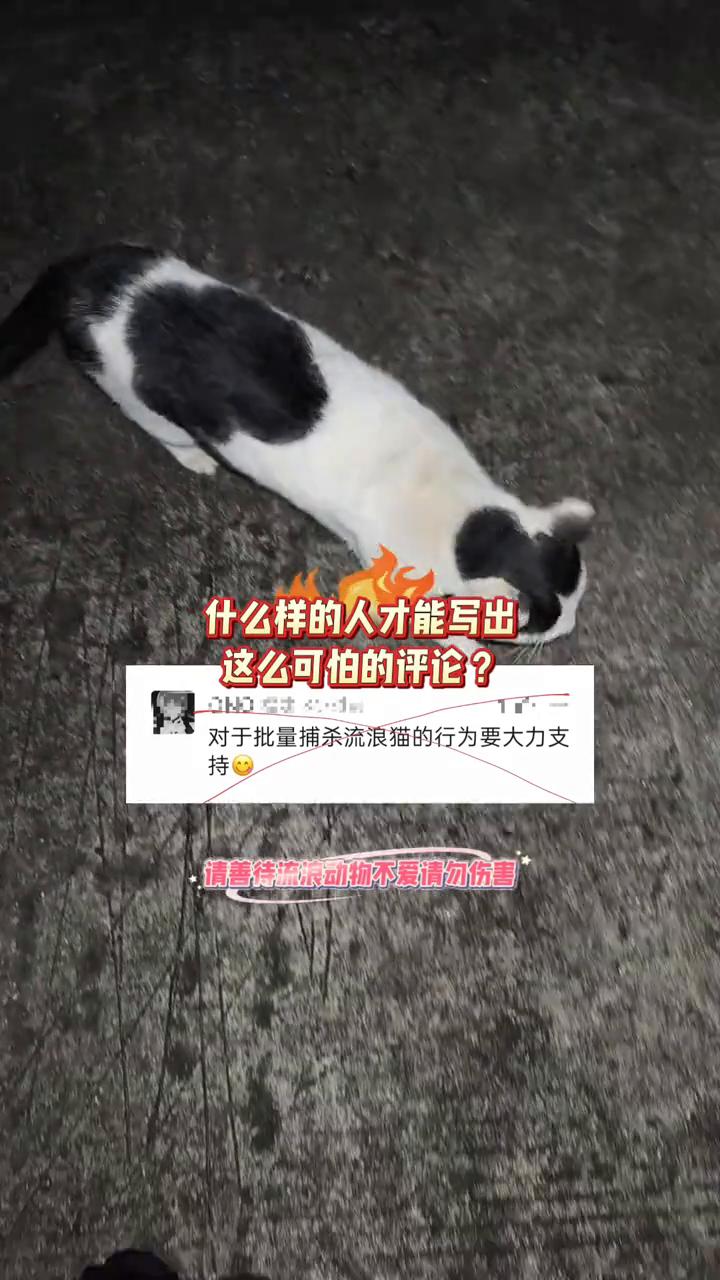 什么样的人才能写出这么可怕的评论？对于批量捕杀流浪猫的行为要大力支持，请善待流