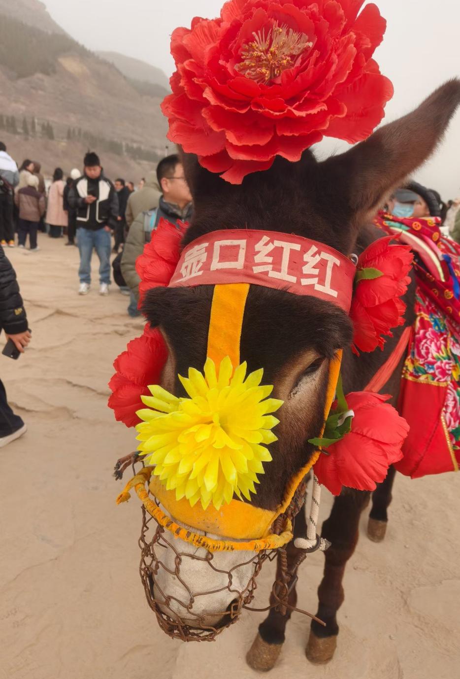 爱好旅游有一点好处，那就是每次出行前的心情，千金难买！那是一种期盼带来的甜蜜