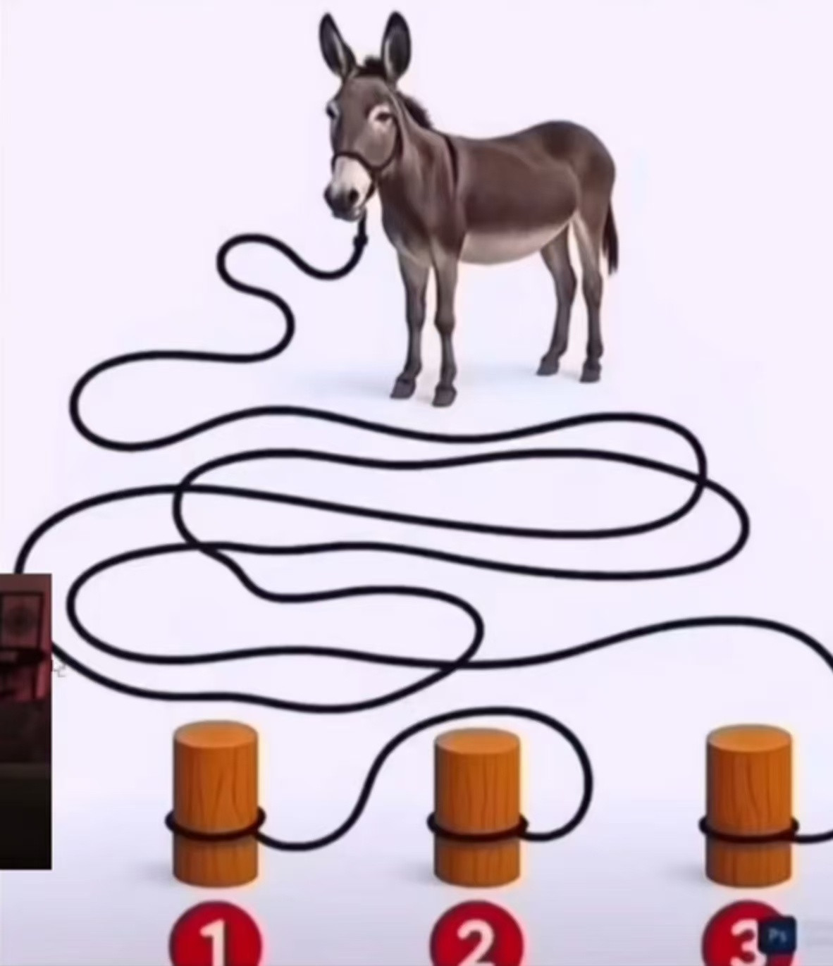 玩到最后发现自己是驴​​​