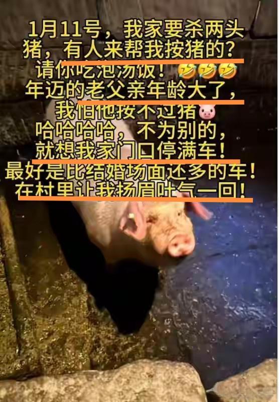 当“呆呆”的“呆呆”一句“帮忙按猪”！真是“一支穿云箭，千军万马来相见”。到