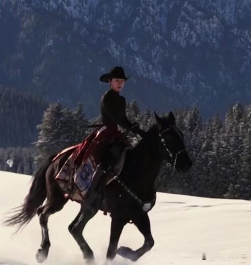 贺娇龙拼了命的在为新疆做宣传。才47岁，正是女干部年富力强智慧能力巅峰的时刻，