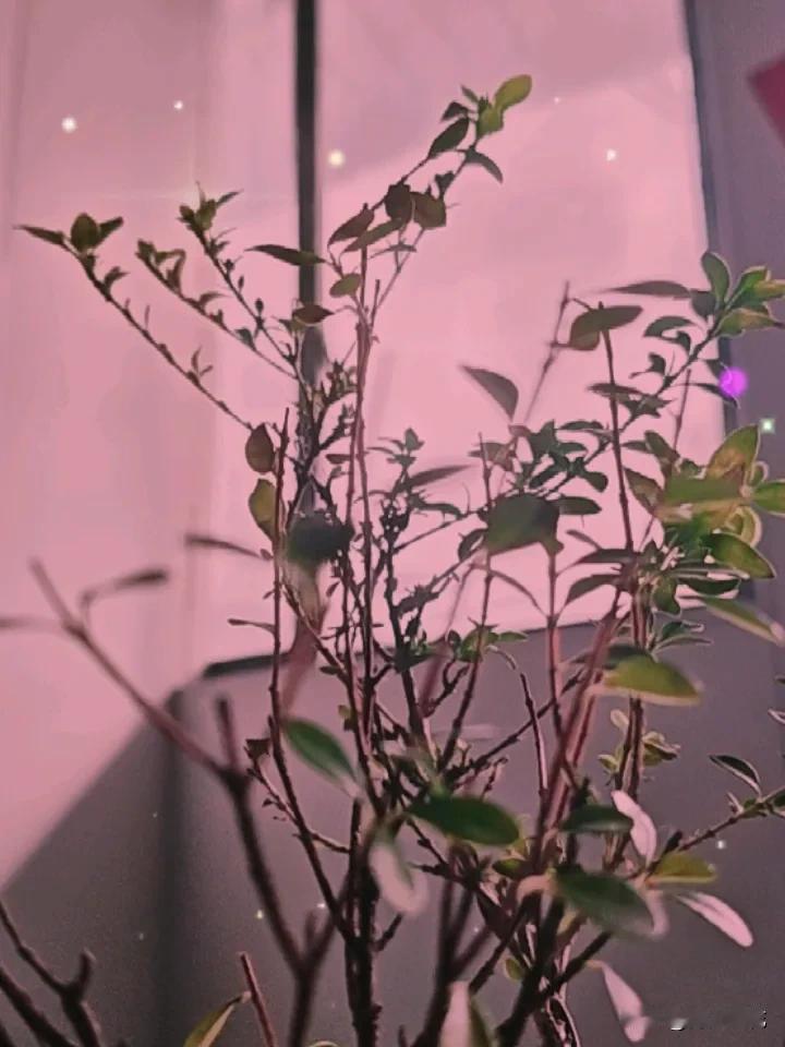 原来家里打扫卫生也是有讲究的，打扫时间不对，会把家里的财运带走。从小就知道，家