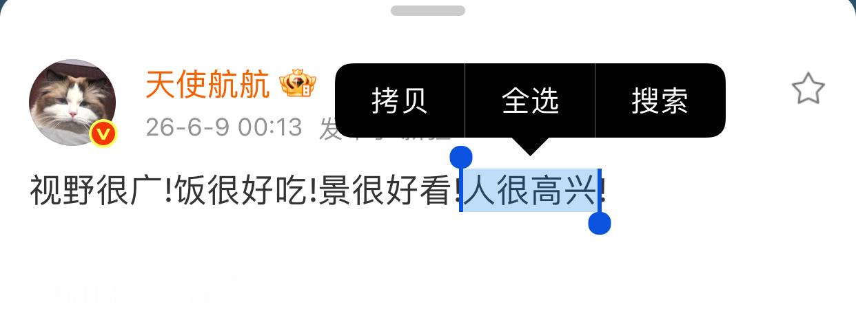 刻意强调自己是猫一样