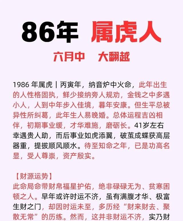 生肖虎排老三，主打一个气场强、执行力高，天生适合当领导。不过脾气倔，容易上头，但