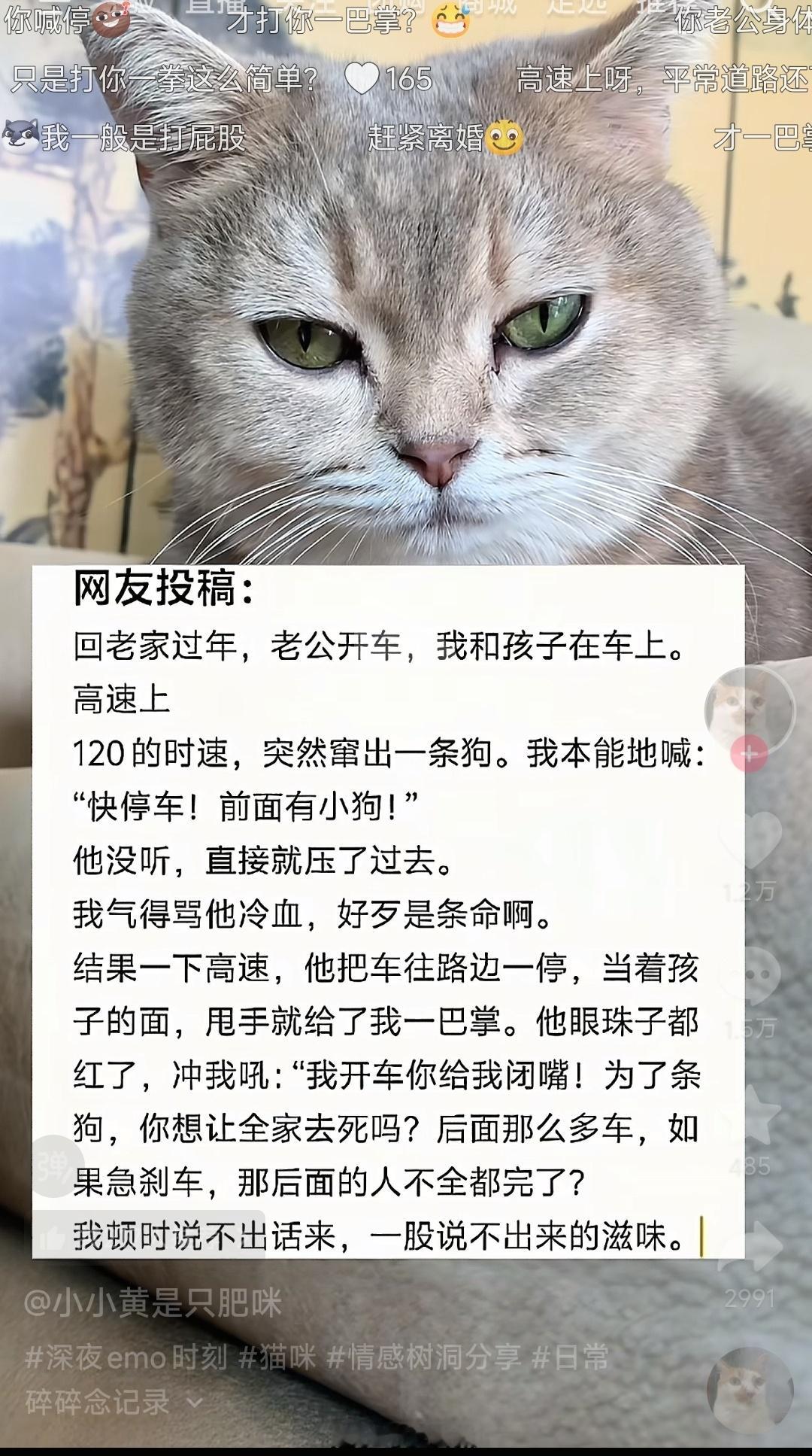在高速上为了躲一只狗急刹是不值得的，不能太过于圣母了。迷惑行为大赏​​​