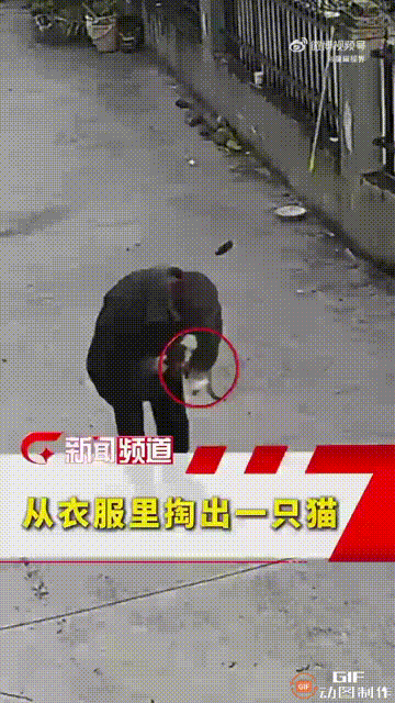 云南一位老人出门时，突然感觉大衣口袋里有东西在动，他以为是手机的震动，于是将手伸