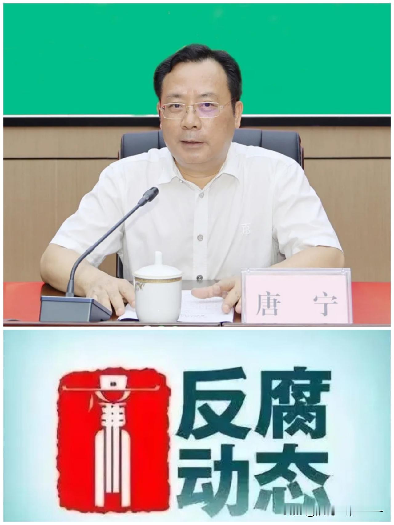 5月31日,周末反腐消息❗️就在刚刚，厅官“唐宁”被查，1963年1月生，广西