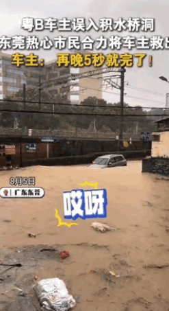 “命不该绝！”广东东莞，司机驾车遇洪水，他看不清方向误入桥洞，积水不断向桥洞倒灌
