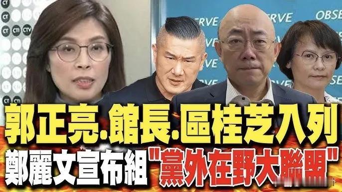 台湾组建反民进党大联盟成效会如何？从人员组成上看，主要是蓝营内有战斗力的人