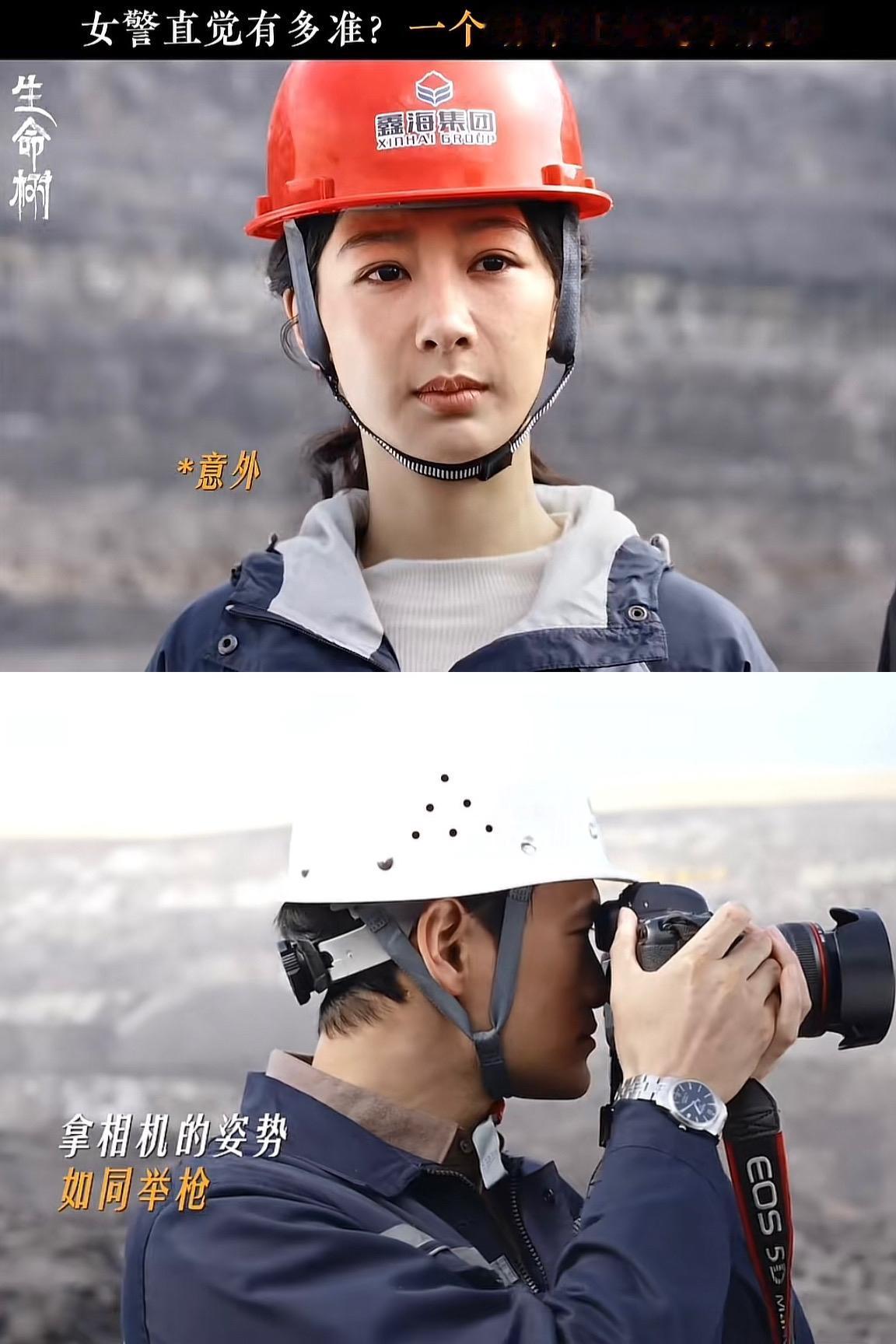 刚刚看完由杨紫、胡歌主演的热播剧《生命树》第三十一、二集，白菊（杨紫）和谢阳到多