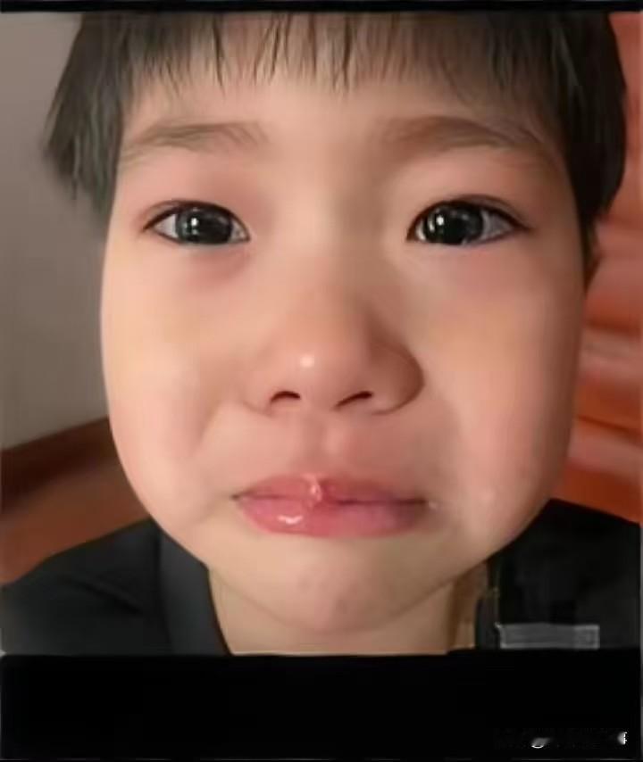这幕太好哭了贵州安顺民政局大厅里，8岁男孩一句“我来办孤儿证”，让空气都静了。