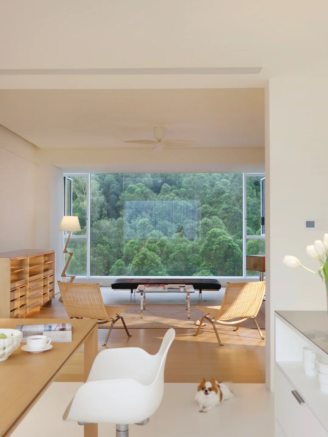 感谢邻居不买之恩，让我捡漏买到了树景房