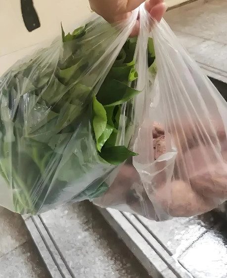今天是儿媳妇生日，儿子塞给我500元让去菜市场买点好的回来做饭。攥着钱走进菜市场