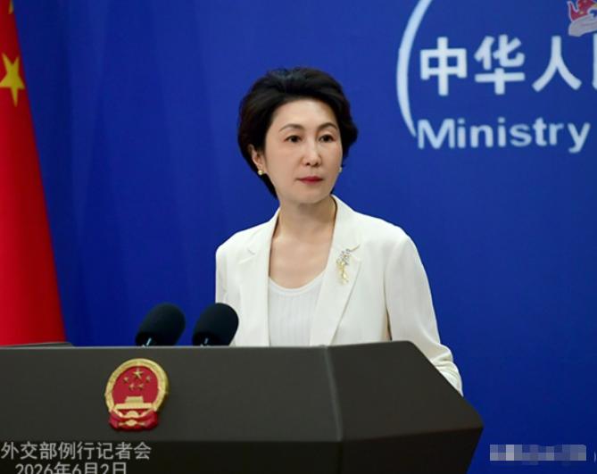 不再留任何情面！外交部痛批菲防长是跳梁小丑，十分罕见的外交措辞！熟悉外交话术