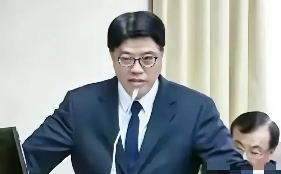 遮羞布都不要了！邱垂正叫嚣“两岸是两国”言论，“台独”公然挑衅3月23日在台