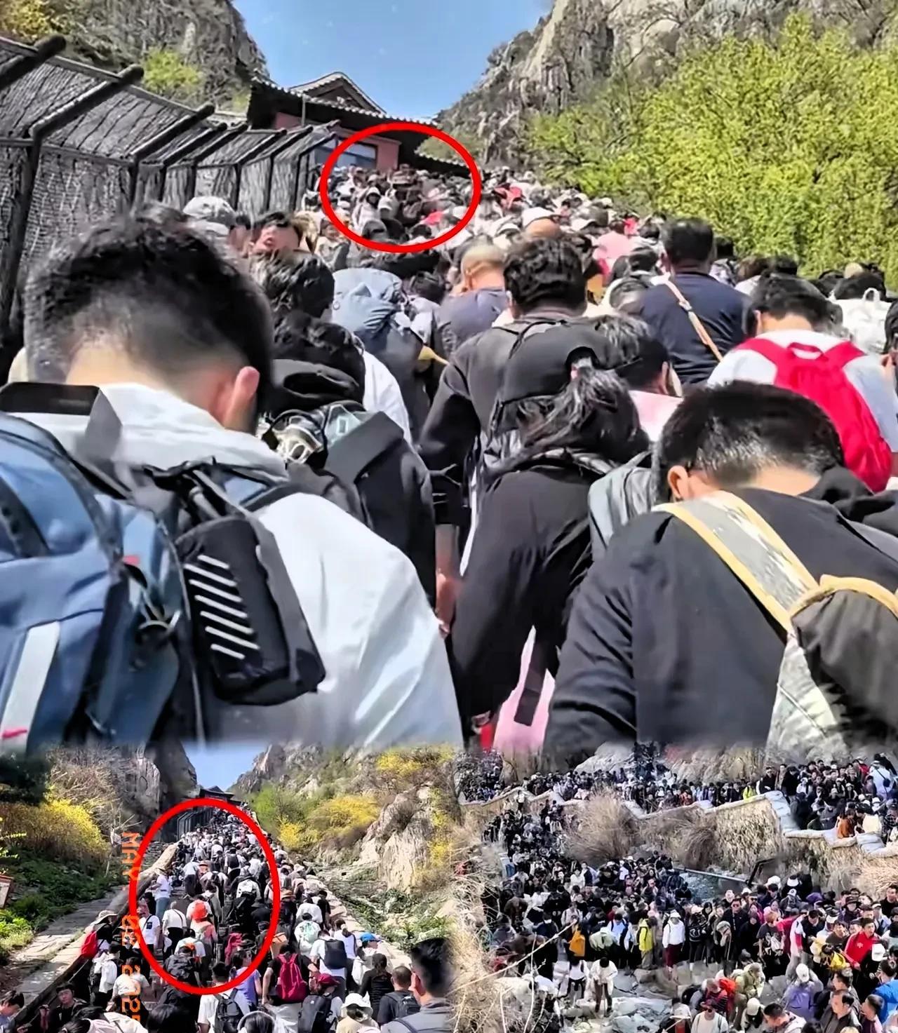 一觉醒来！旅游和没旅游的都沉默了！五一假期凌晨四点的山路上，游客裹着军大衣排