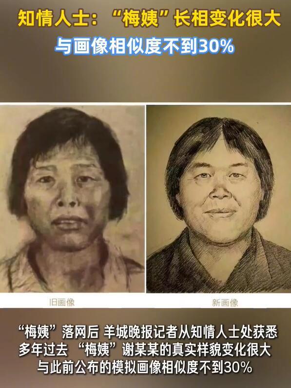 #神笔警探凭同居者描述画出梅姨#【#神笔警探画出的梅姨成全民靶子#】3月21日，