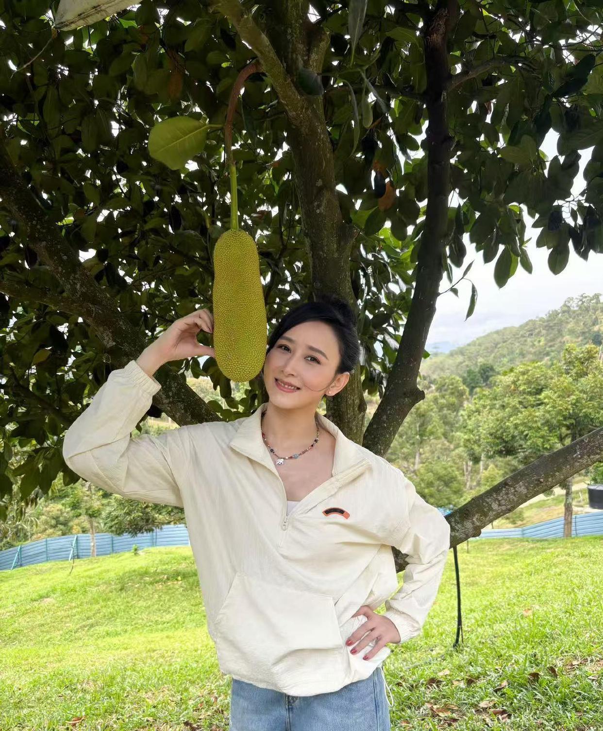 47岁胡静晒自家榴莲园太震撼了！满树都是猫山王，菠萝蜜、火龙果应有尽有，实现水果