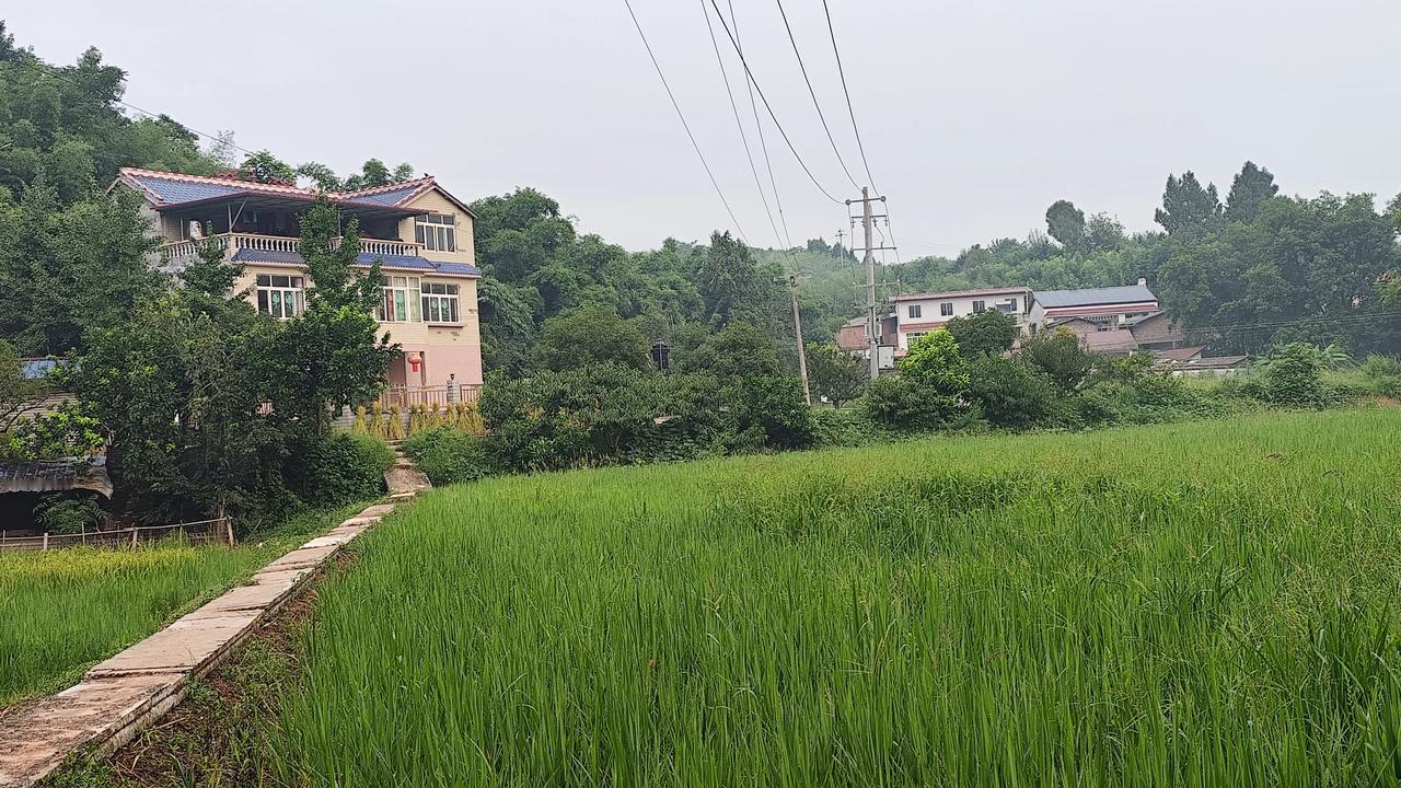 晒图笔记大赛乡村风景欣赏！分享自然风景照片