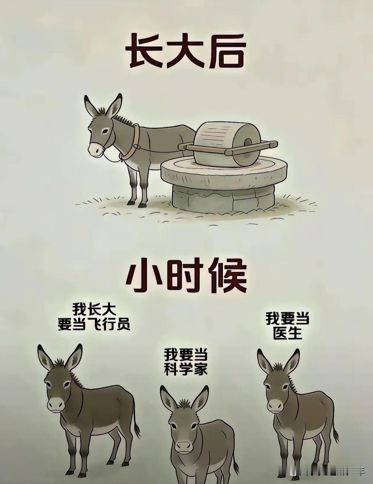 看图有感：出生就是一头驴，跨界梦想当医生，只能科研做课题。不如转圈求温饱