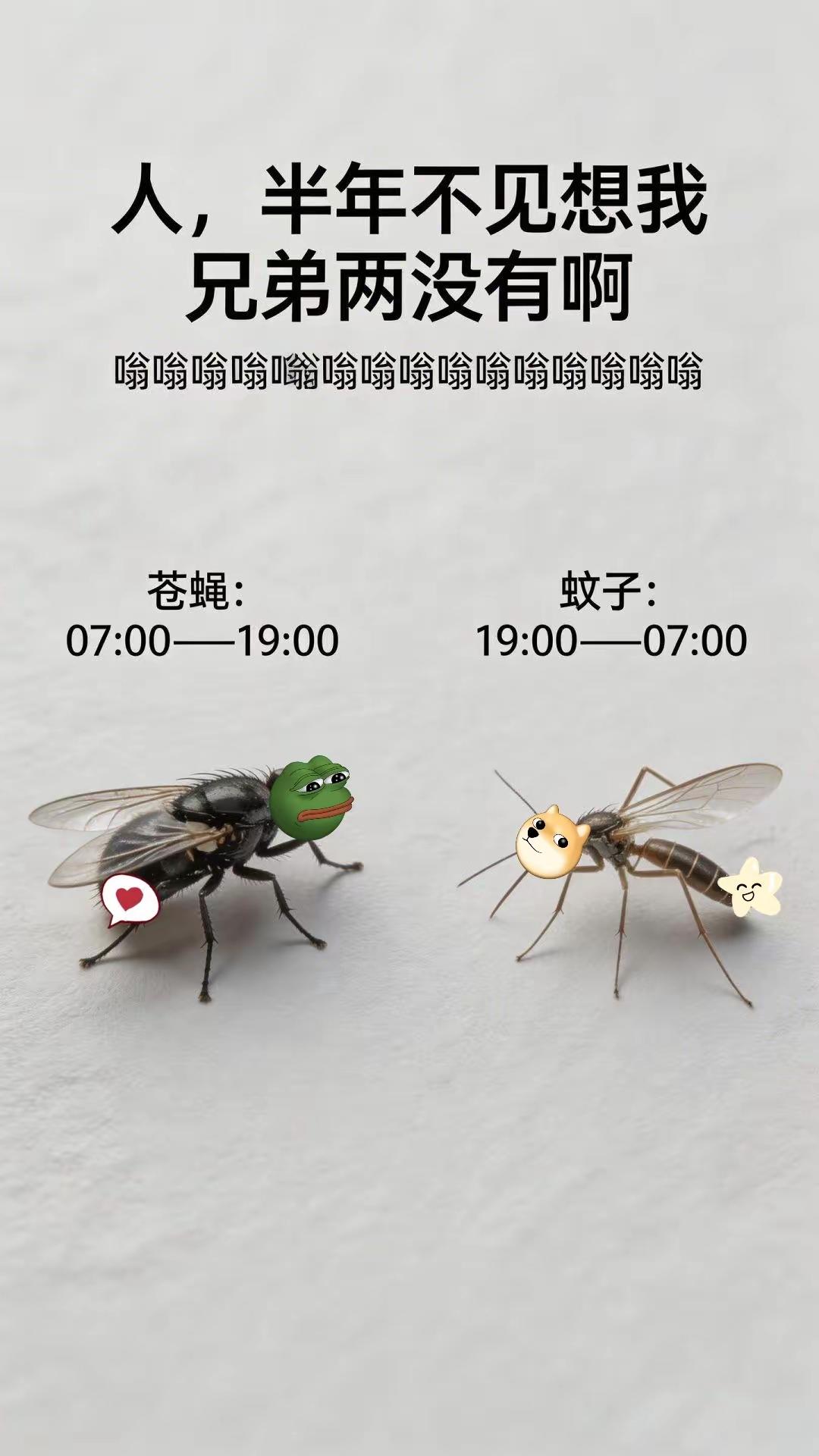 这两个没法彻底消灭吧