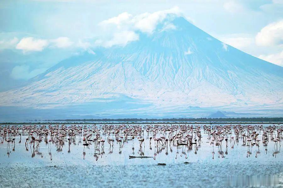 坦桑尼亚北部的纳特龙湖以其壮丽的景色、火烈鸟的重要繁殖地而闻名，美得惊心动魄～
