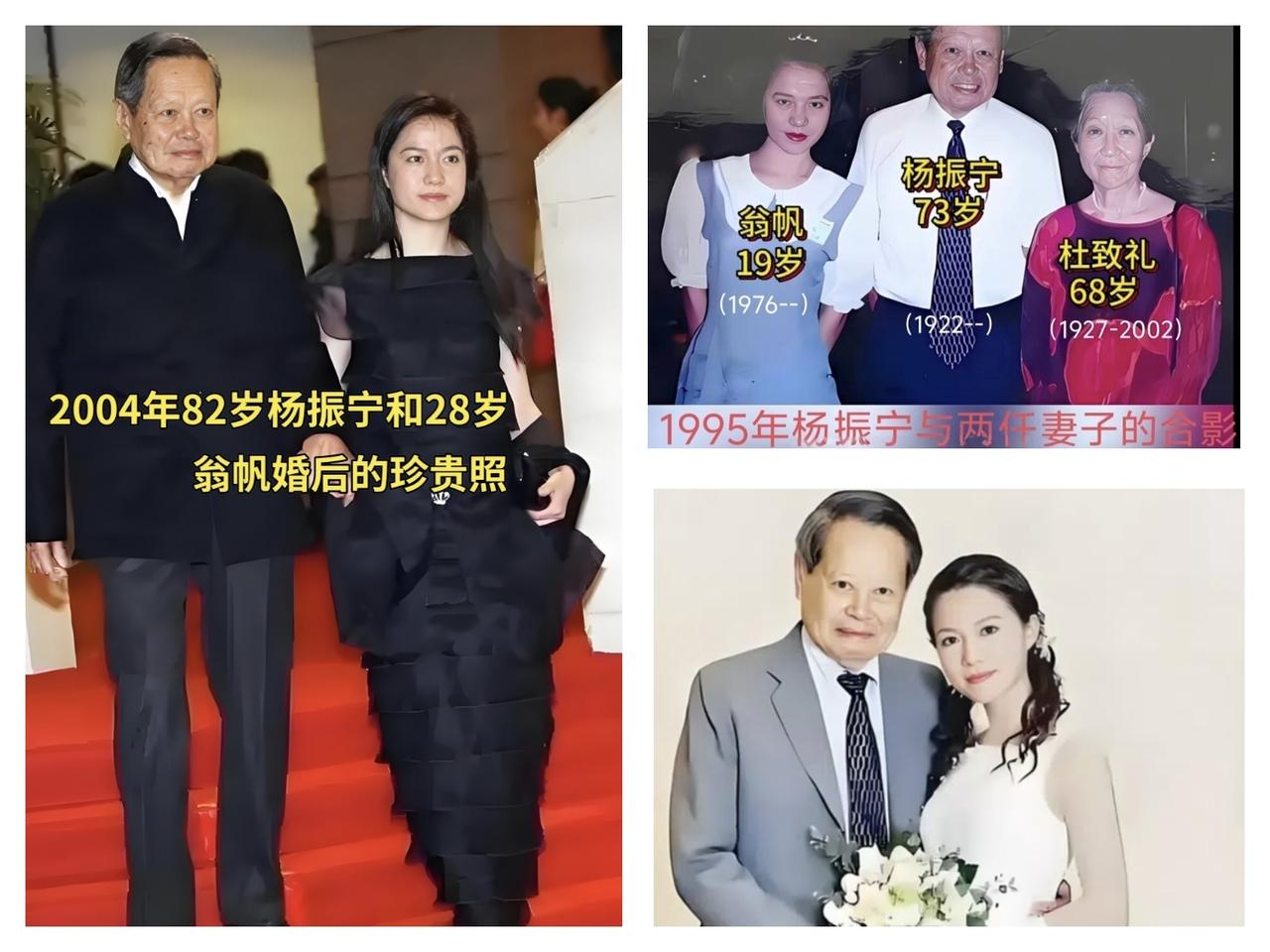 那年28岁年轻漂亮有学识的翁帆嫁给了82岁的杨振宁当时舆论一片哗然