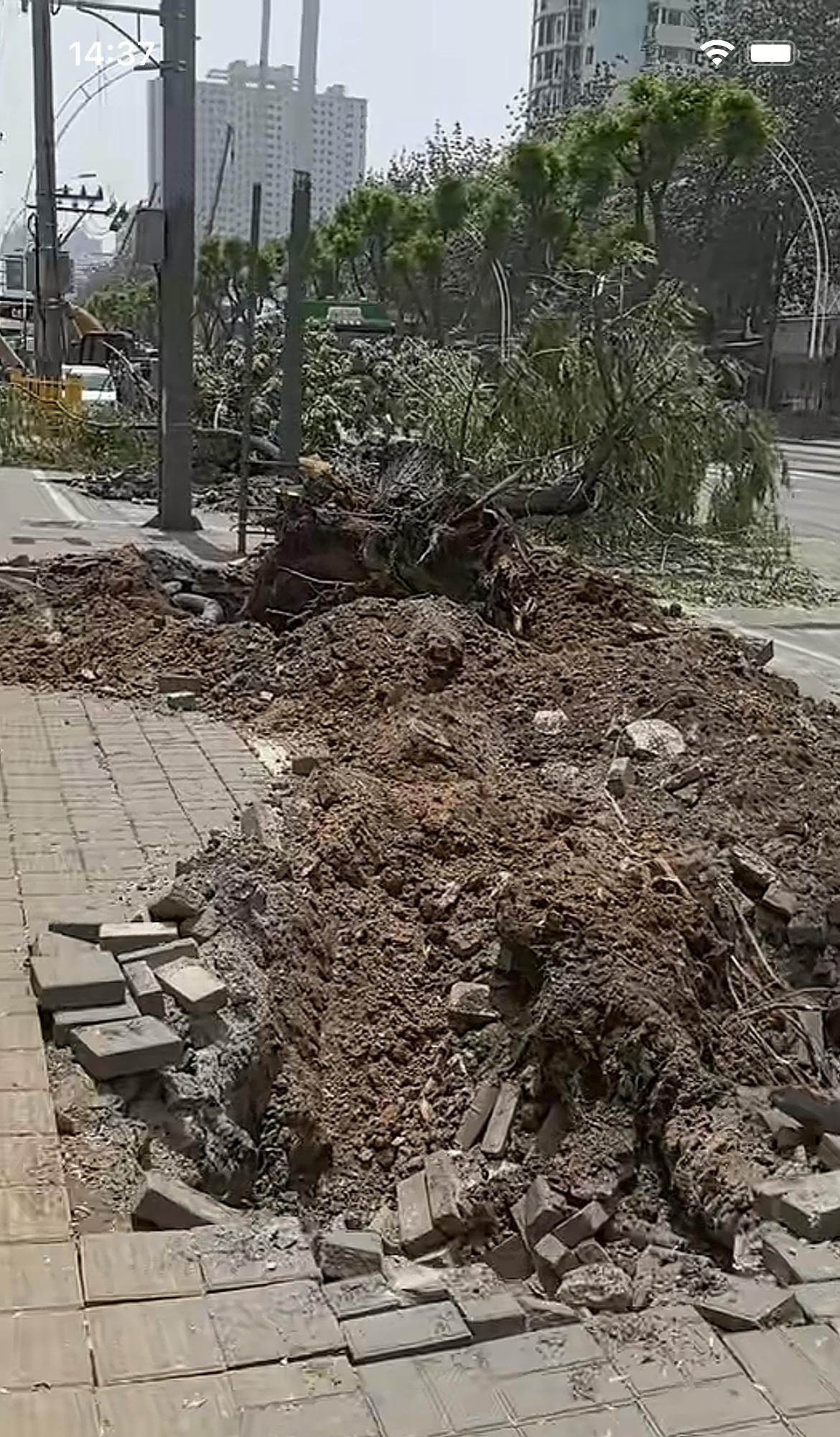太原新建路维修改造，引发市民热议，好好的大树为何挖出来放倒，好好的马路这么一搞影