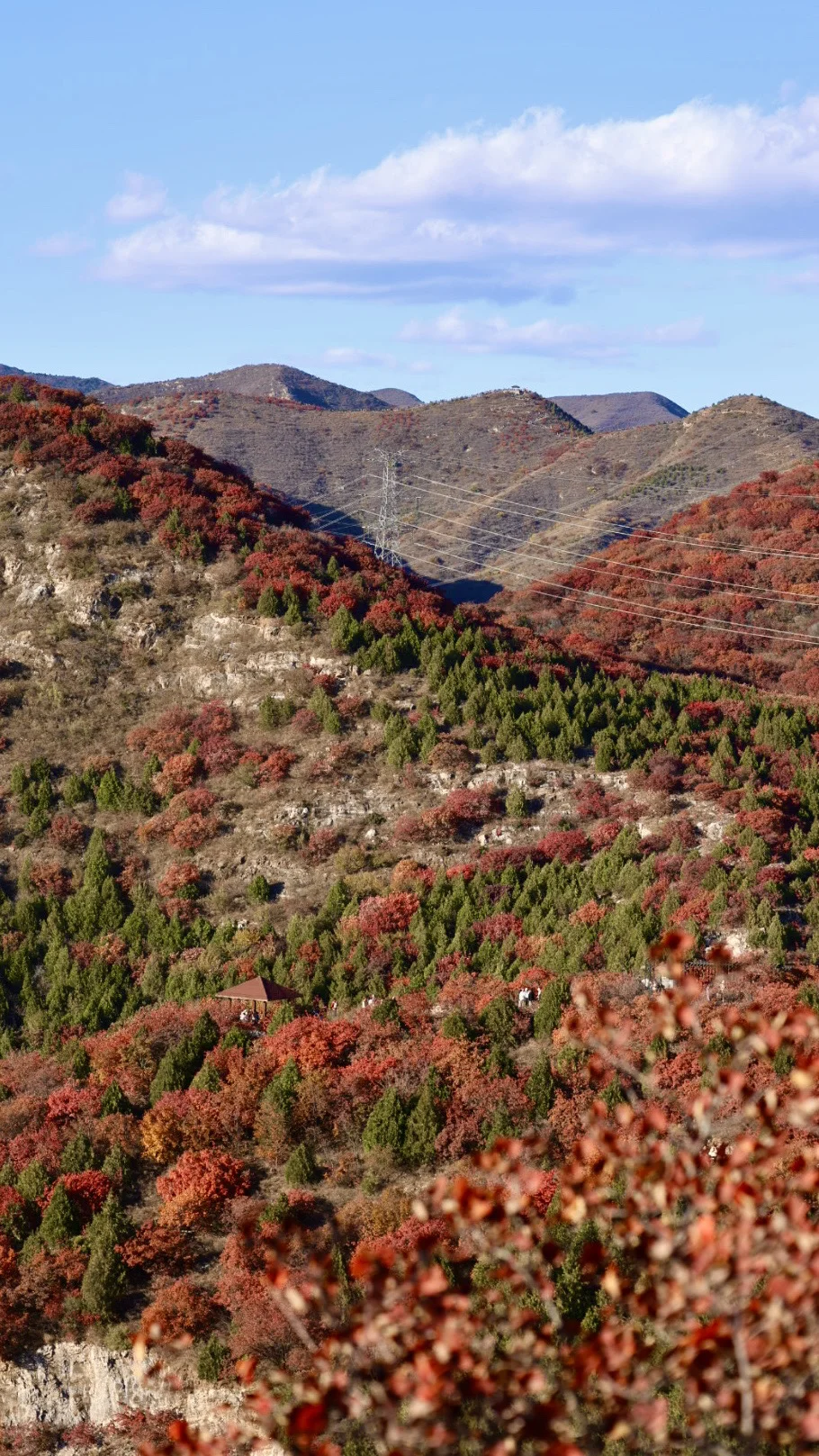 11.1舞彩浅山🍁｜推荐避开人群路线体验更佳！