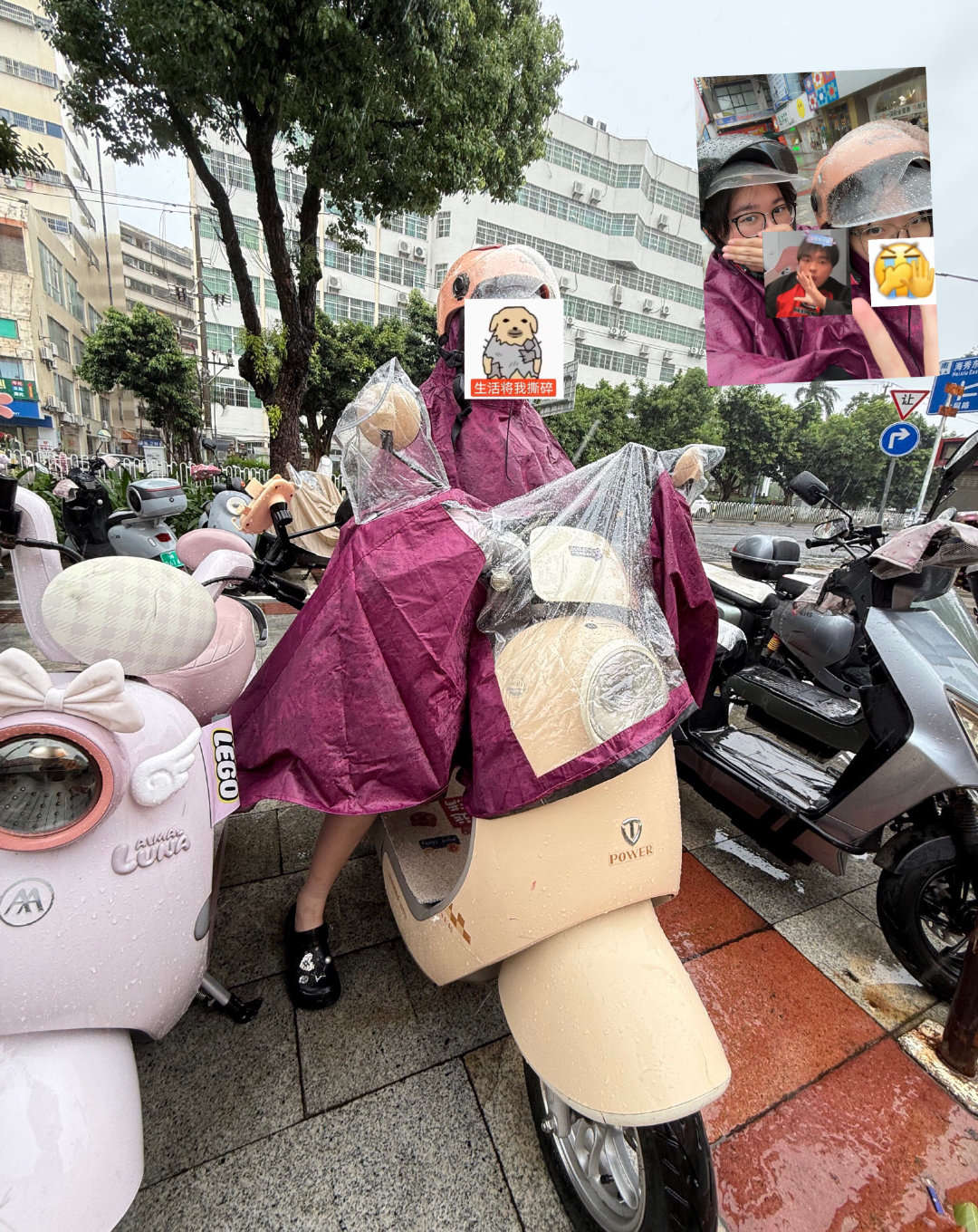 雨水打湿小雅迪发誓要坐大奥迪！​