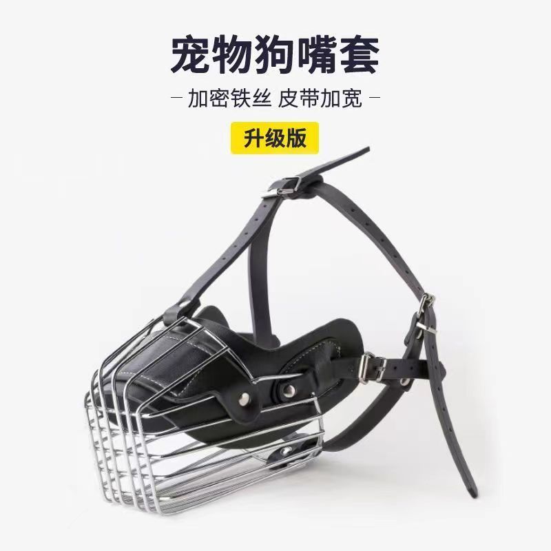 不好意思，让它们跑出来了乖乖戴上吧