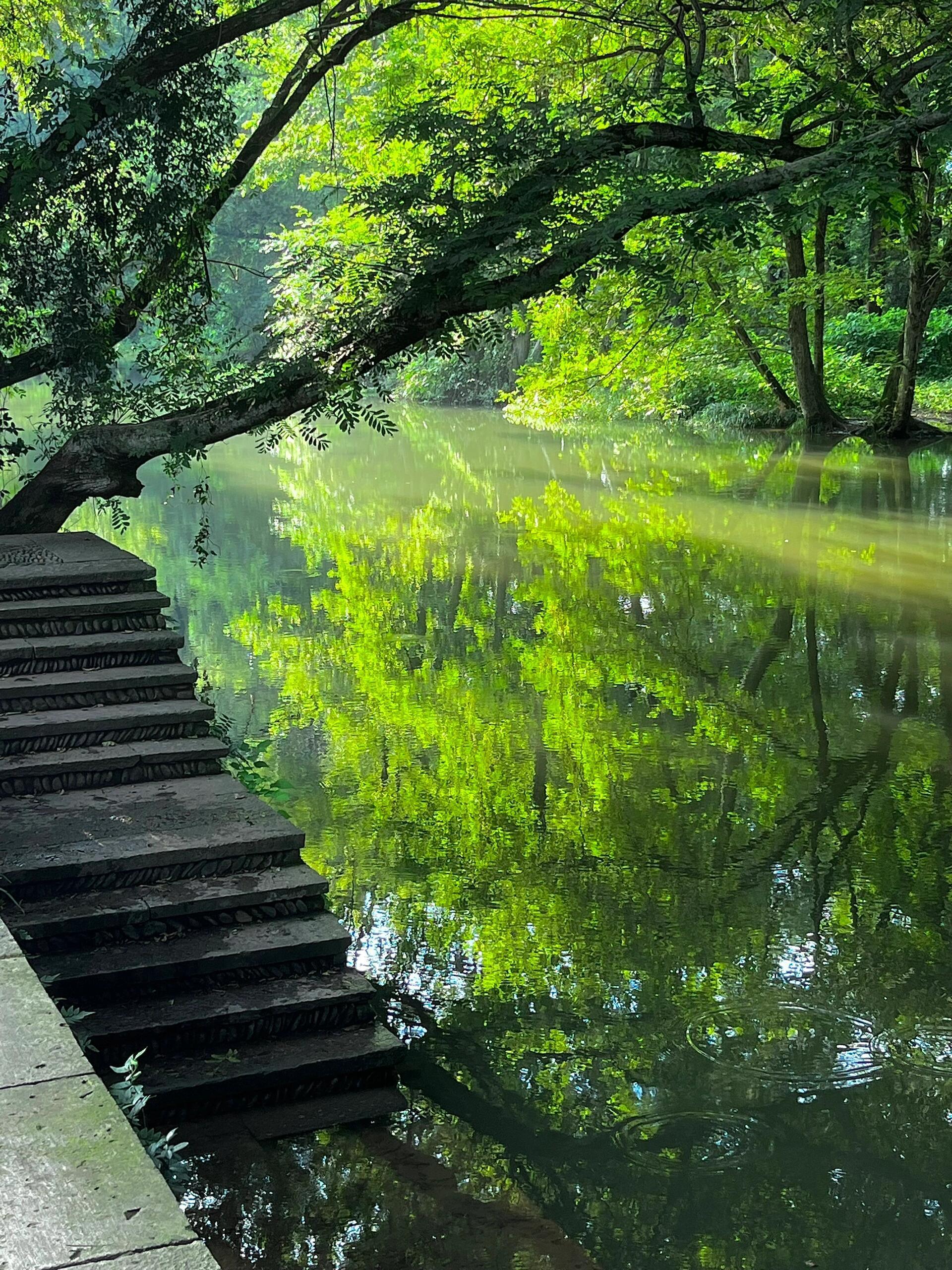 夏天拍了拍秋天：下次见！​​​