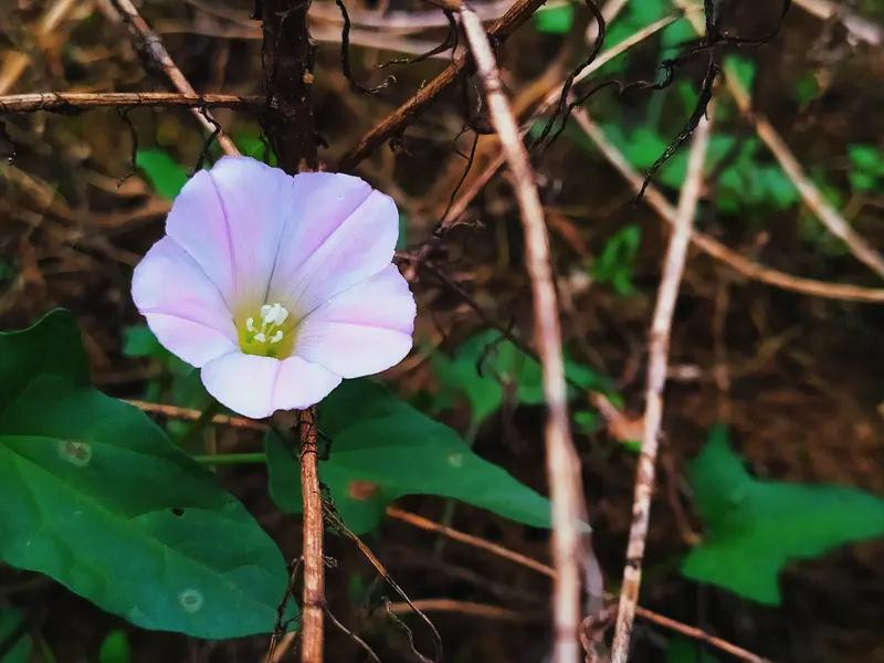 都说漂亮女生在感情里顺风顺水，可现实并非如此。朋友琳琳参加聚餐，一堆男生来搭话，