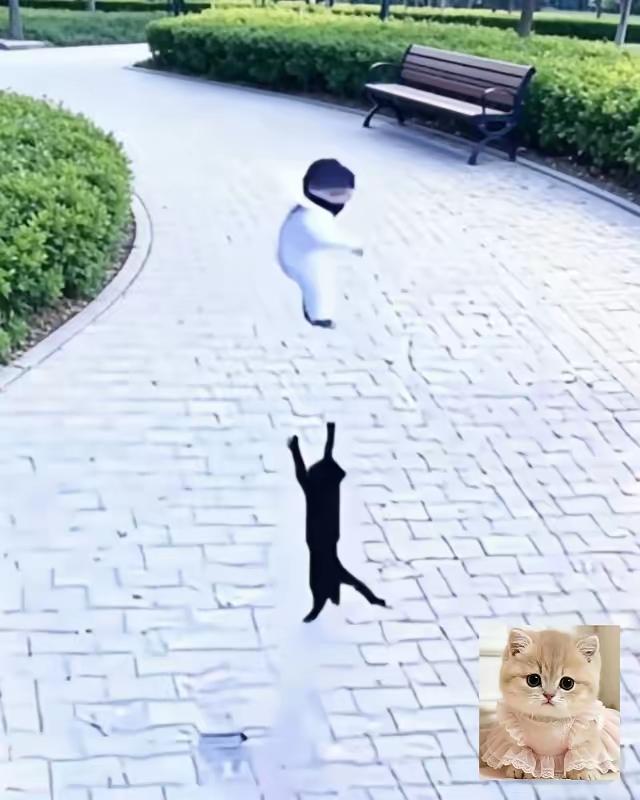 3楼孩童失足坠楼，流浪猫舍身相救，父母抱着孩子四处寻猫道谢谁能想到，常年遭人驱