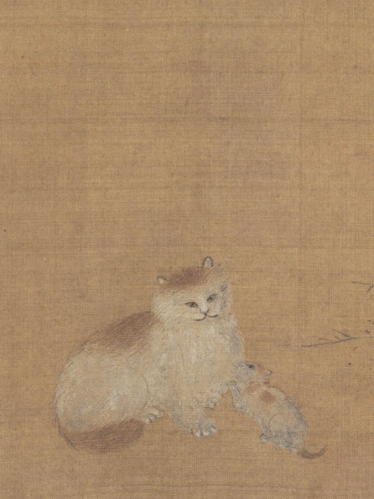 宋代的猫，16只猫图均采集自宋代古画，宋代是中国古代养猫的黄金时代，猫从捕鼠工具