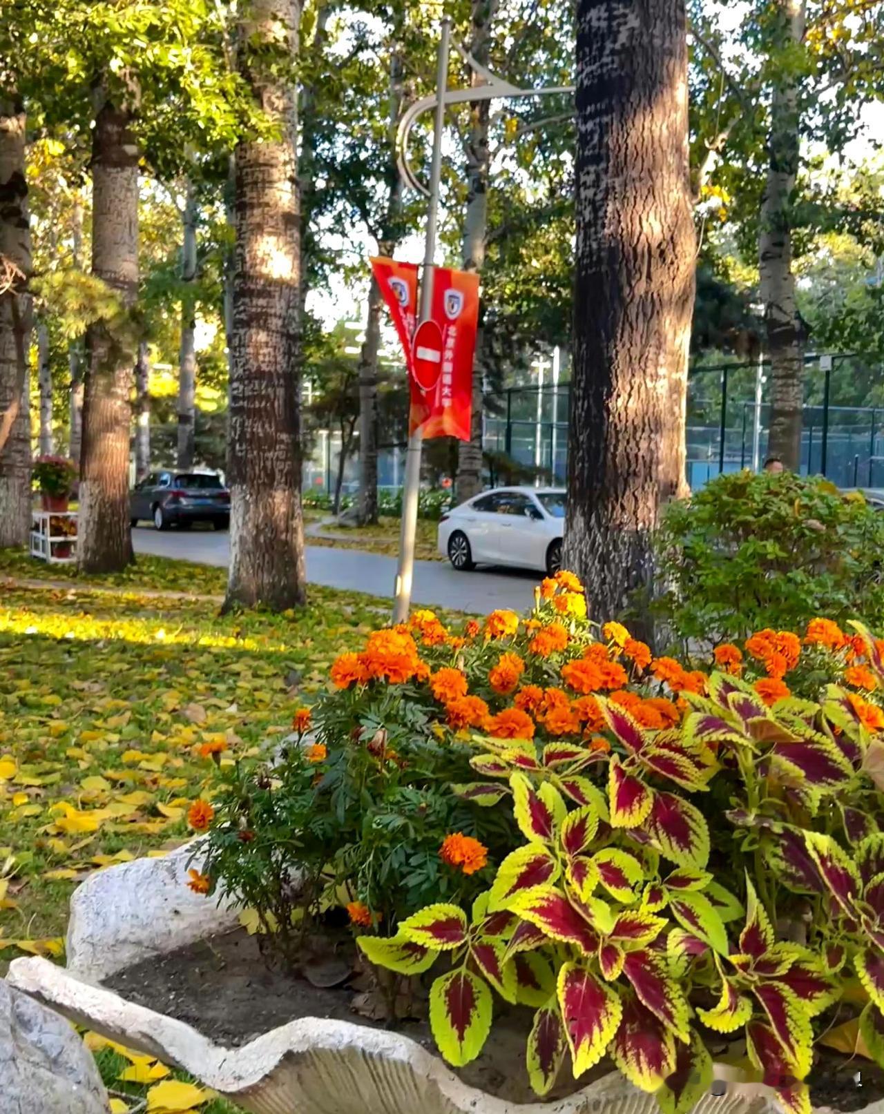 碰到一“越吹”，说越南GDP必定会超越广东。我问他越南何时能超越韩国、俄罗斯，他