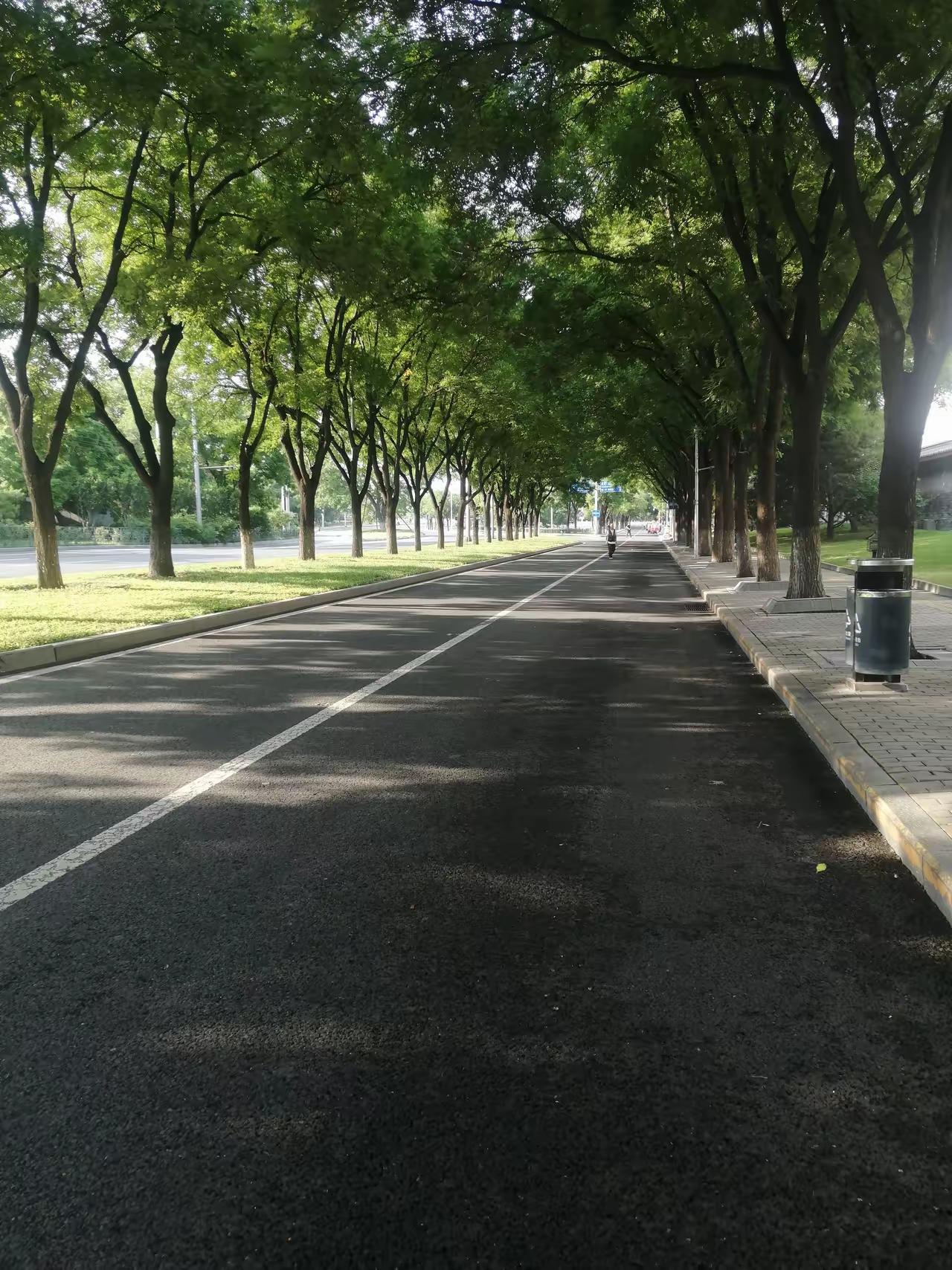 四十年未见的大学同学来京了，我请他吃饭，感慨世事沧桑，我们曾经谈过恋爱，后来匆匆