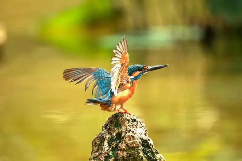 别再为“全家”耗尽自己，你的付出该有底线原配的委屈，藏在每一笔省下来的生活