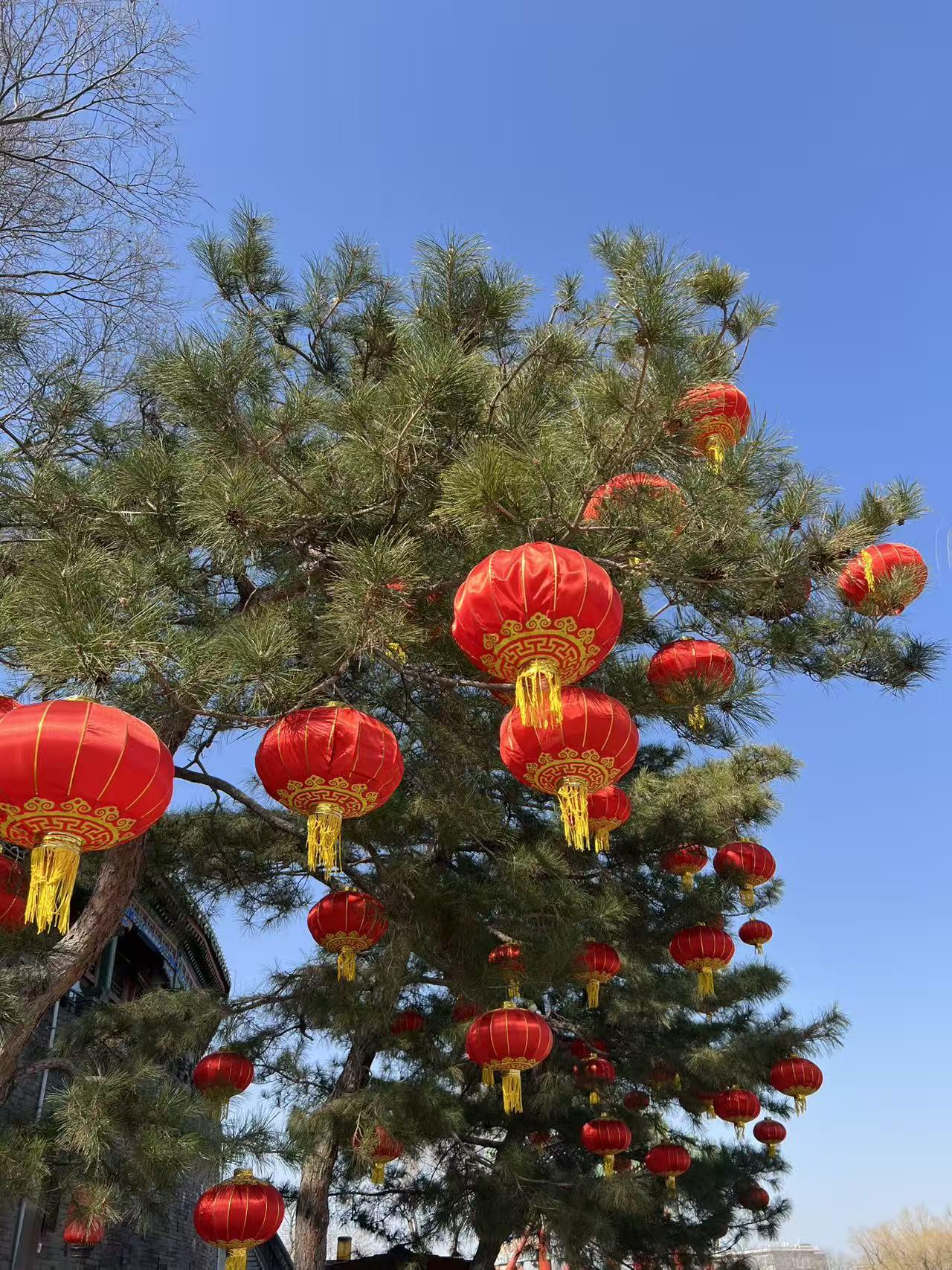 晒出你近期的原创摄影作品