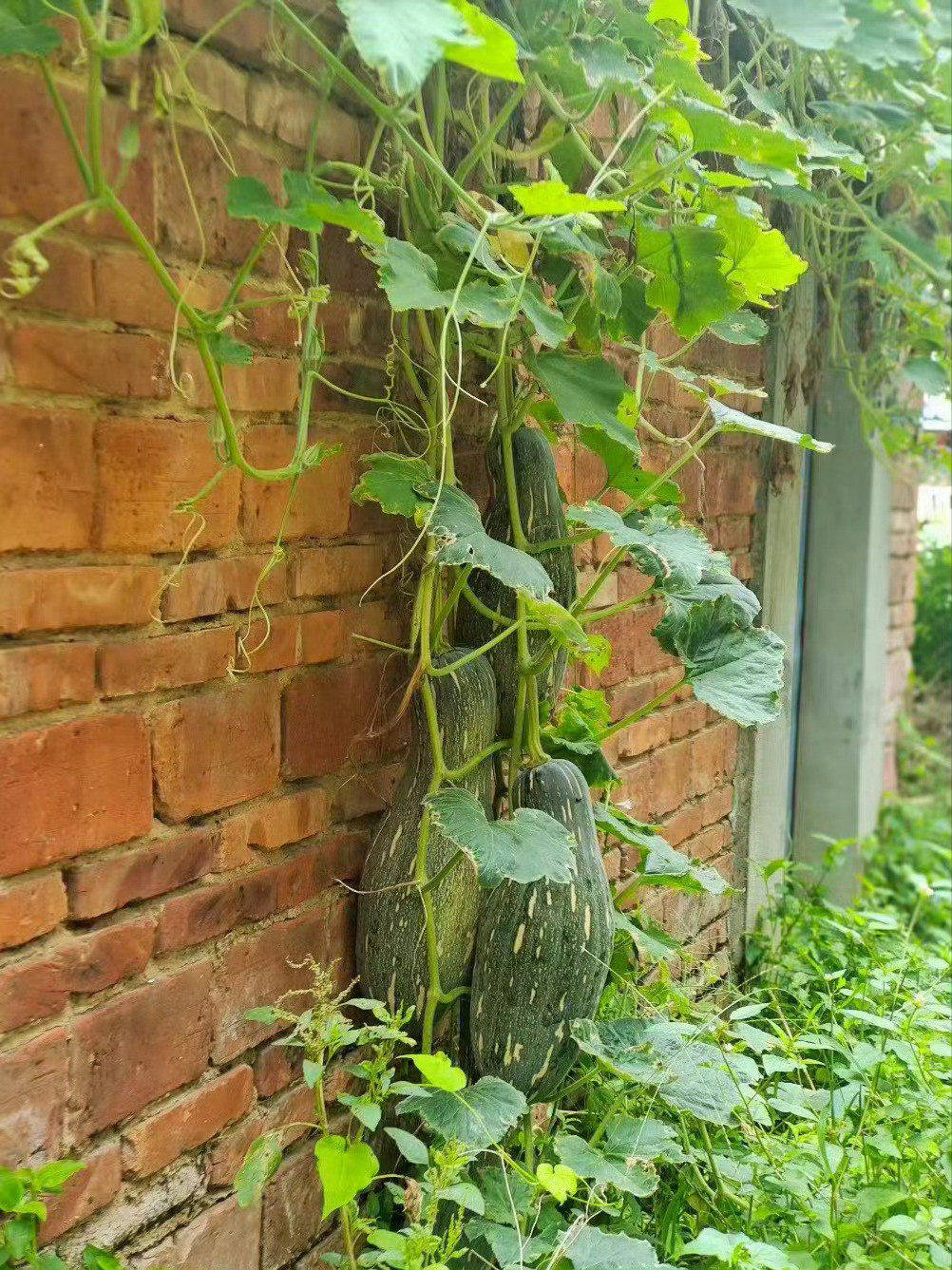 “万物四季，秋风物语…”​​​​