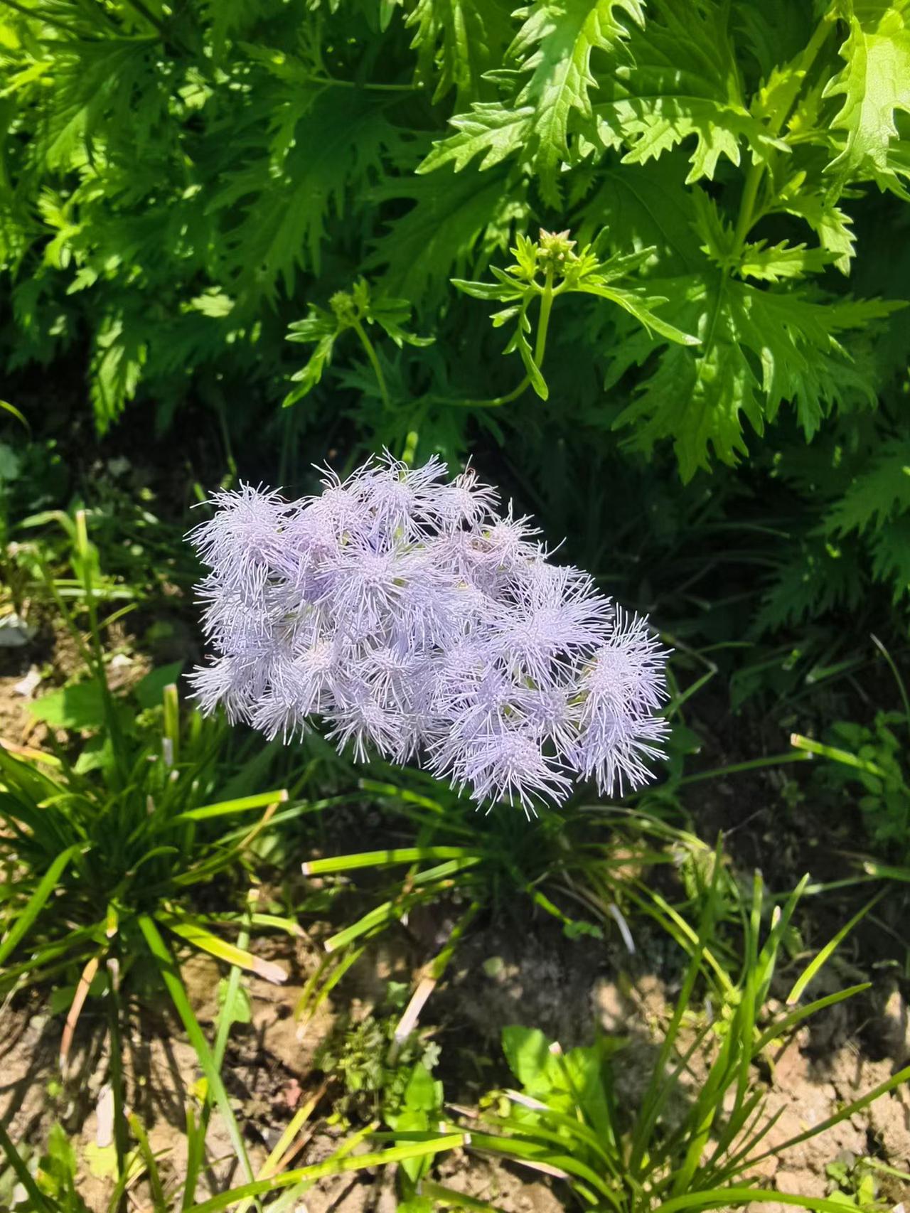 才洗了个澡，群里就出了事，有人说发现一户厨房直冒烟，叫物业火速去查看家里有没有人
