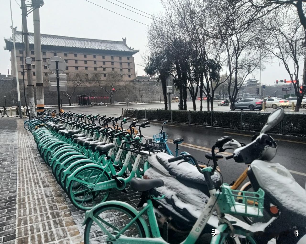 元旦一大早出门去买菜，因为晚上有朋友来聚会，多买些鱼肉蔬果吃个家常便饭！一路上看