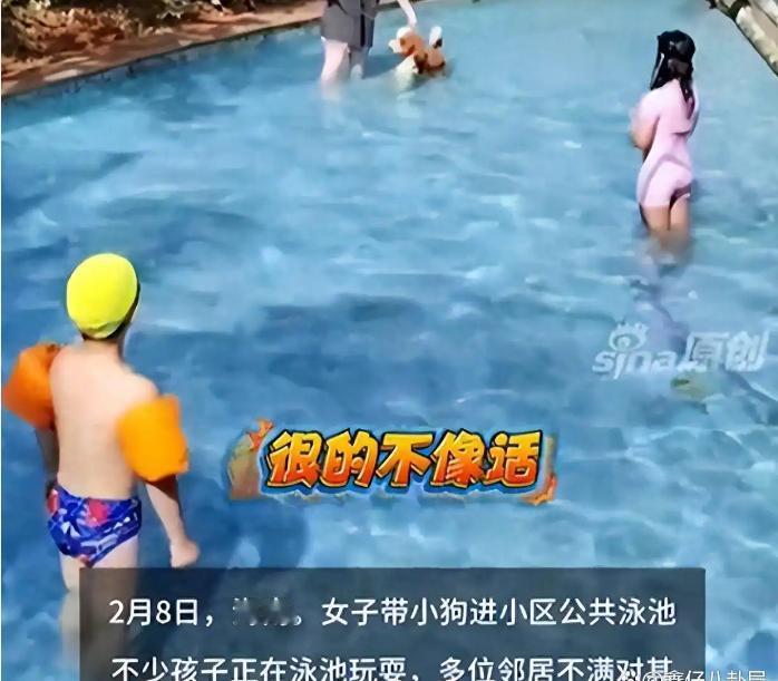 这下彻底傻眼了吧？三亚带狗进泳池的女子，终于迎来了她的账单，不是500块，也不是