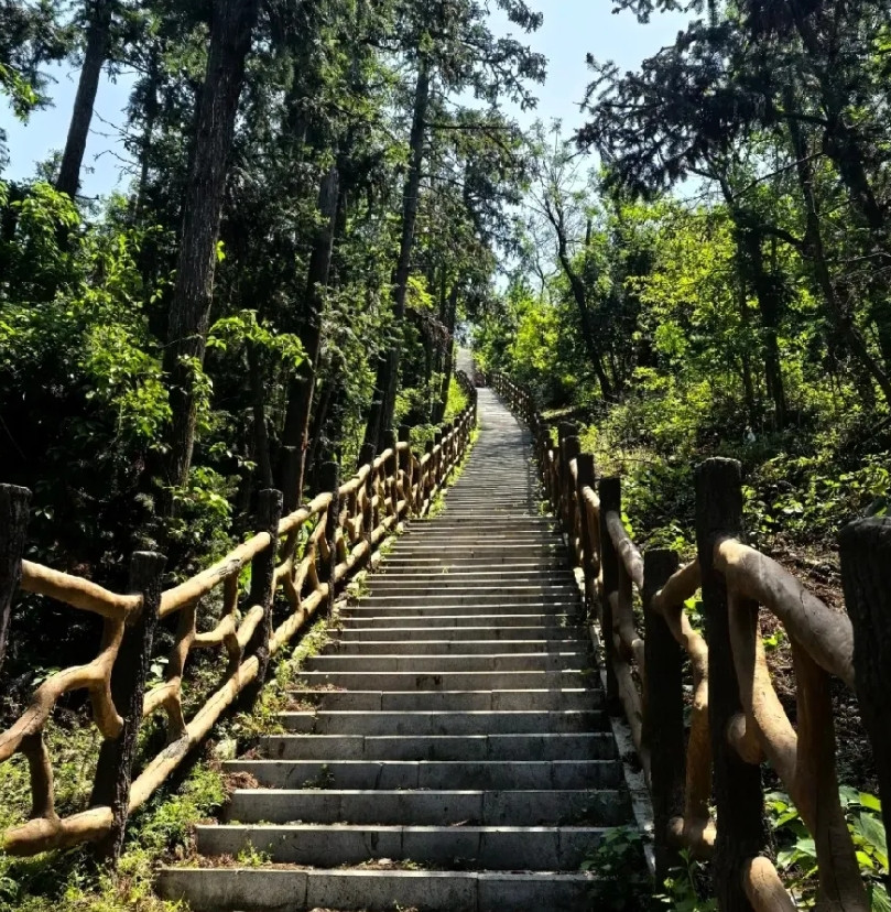 作为半个武汉人也是第一次听到这个山。位置在江夏区，算是一座野山吧。不需要买门