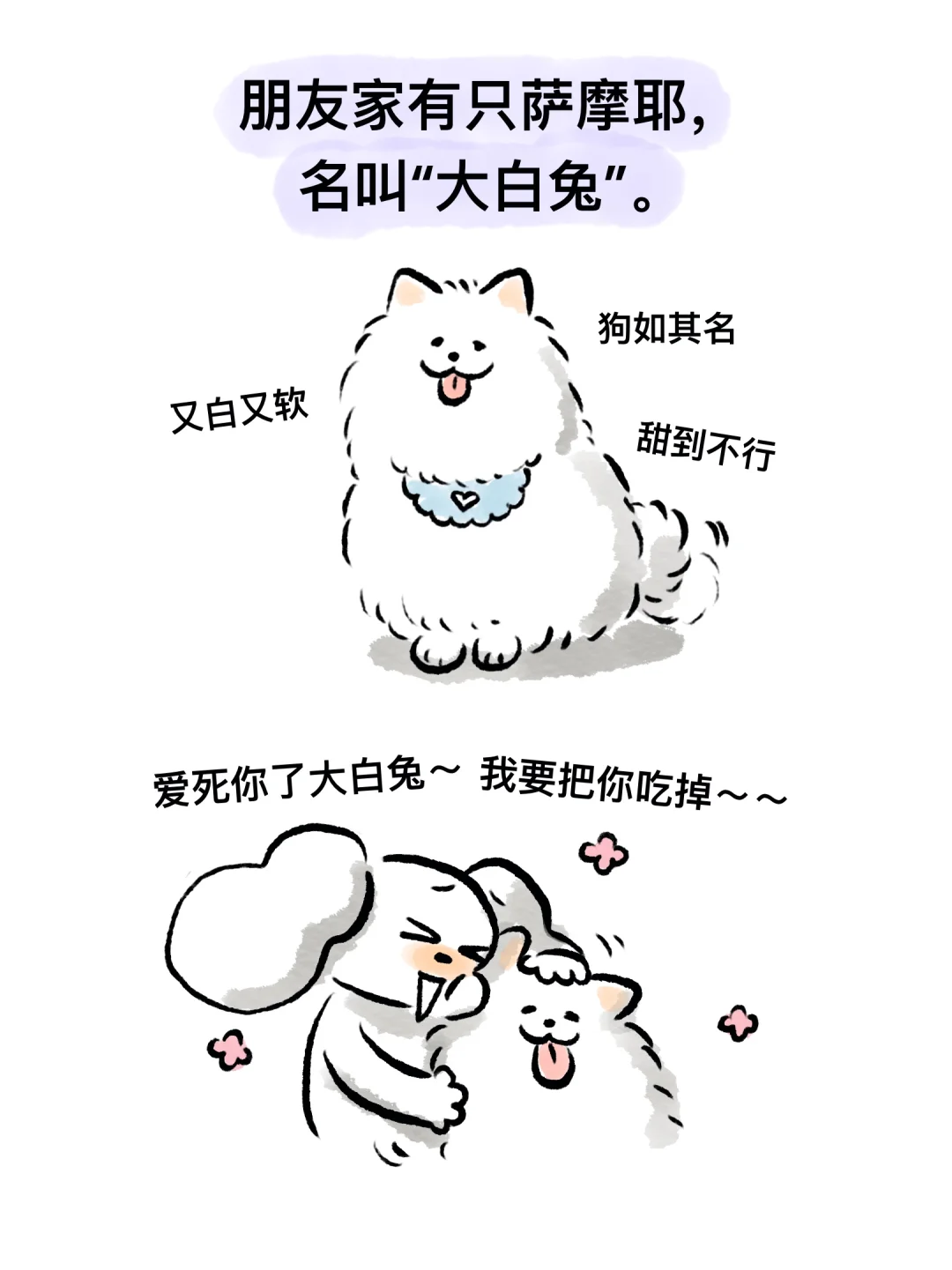 关于大白兔的笑话一则